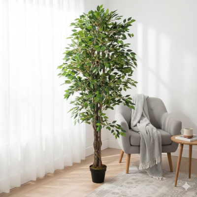 FICUS-TEL.jpeg