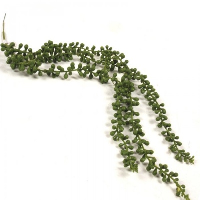 0321368-PLANTA.jpg