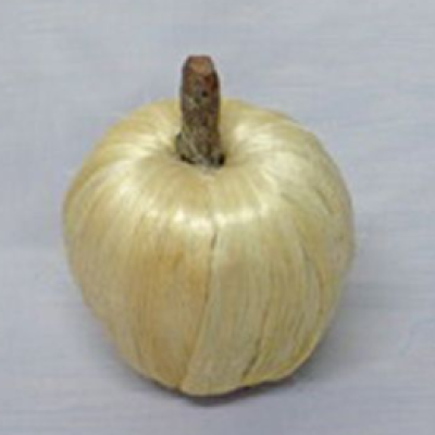 0331456-manzana_1.png