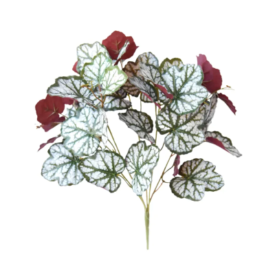281563-1-planta_1.png