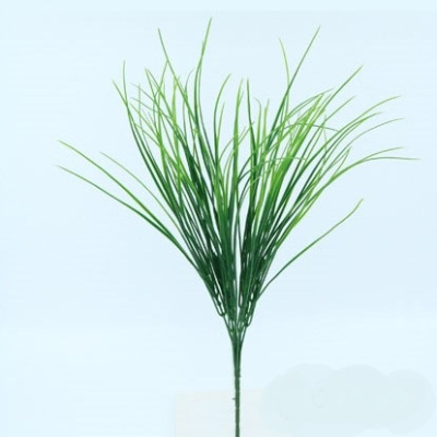 0331335-pasto.jpg