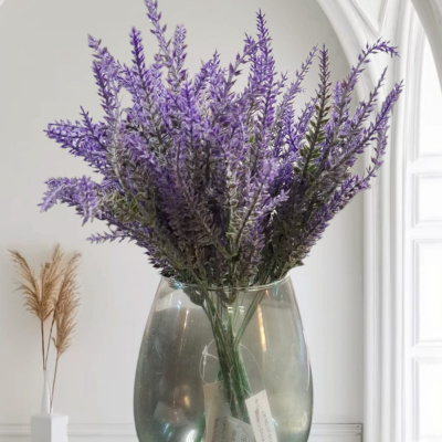 0431285-FLORERO-VID.jpeg