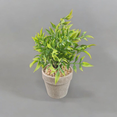0431310-PLANTA.jpeg