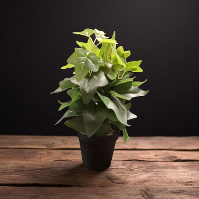 0431609-planta.jpeg