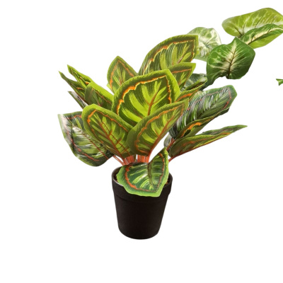 0431613-planta.jpeg