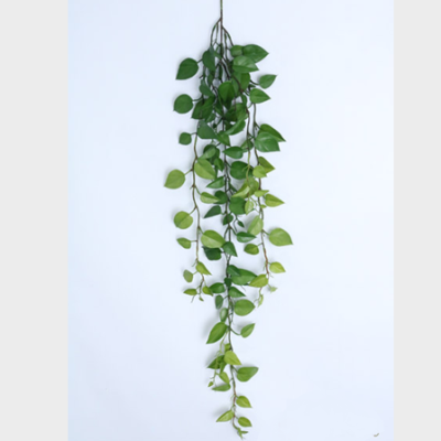 0431731-CAIDA.png