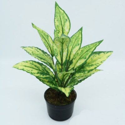 0431747-planta.jpg