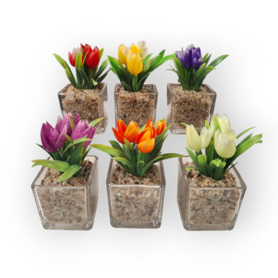 0431756-maceta-tulipanes.jpeg