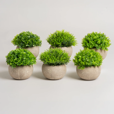 0432041-maceta-con-planta.png