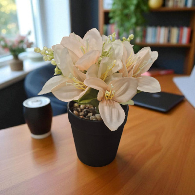 0432135-3-PLANTA.jpeg