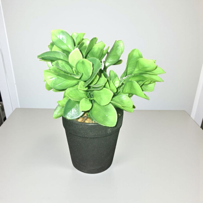 0432517-PLANTA.jpeg