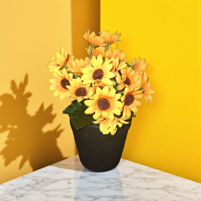 0432525-PLANTA.jpeg