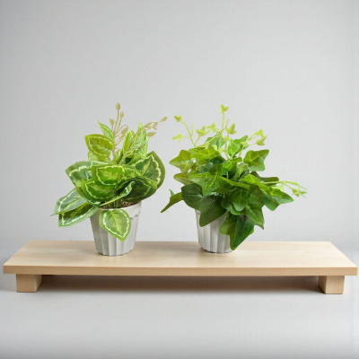 0432553-PLANTA.jpeg