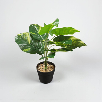 0432610-PLANTA.jpeg