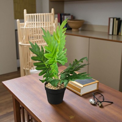 0432611-PLANTA.jpeg