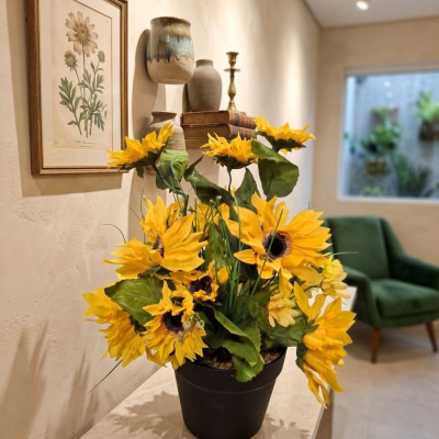 GIRASOLES.jpg