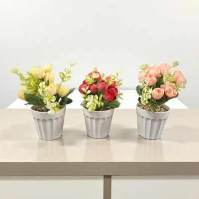 0432710-PLANTAS.jpeg