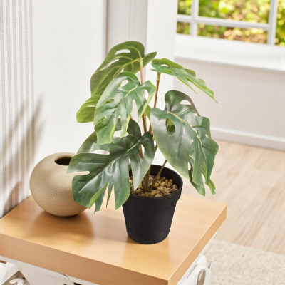 0432711-PLANTA.jpeg