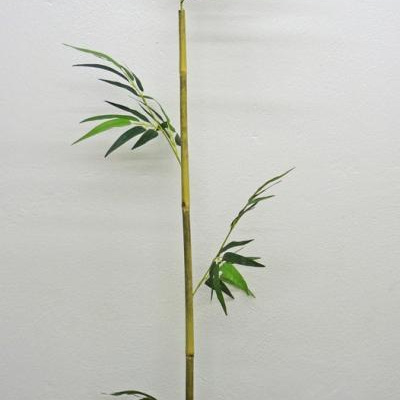 033556.jpg