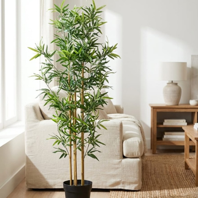 BAMBOO-ADAPTADO.jpeg