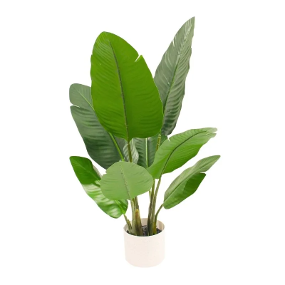 0433517-BANANO.png