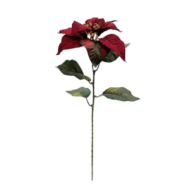 0433523-estrella-vara.png