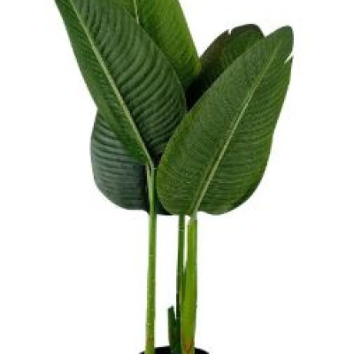 0433542-planta.JPG