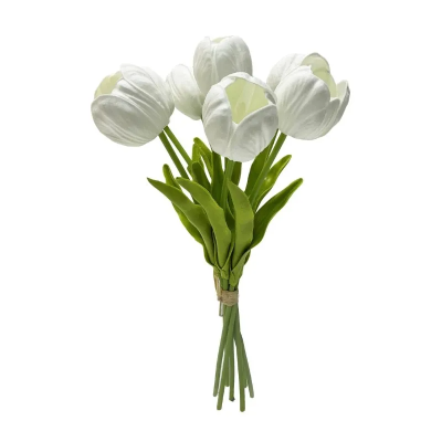 0433543-TULIPANES.png