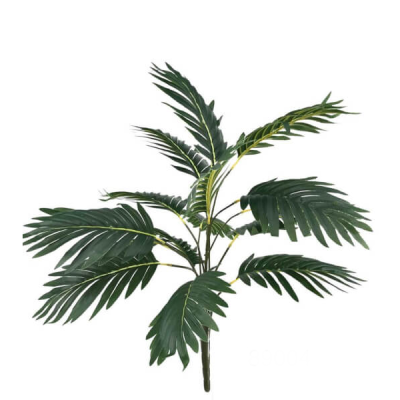 0433573-HOJA-PALMERA.png