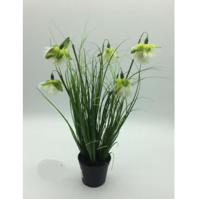0433580-MACETA-CON-PLANTA.png