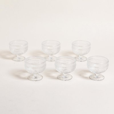 COPAS-SUNFLOWER-MISHKA.jpg