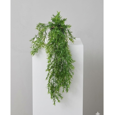 0433999-planta-colgante.jpeg