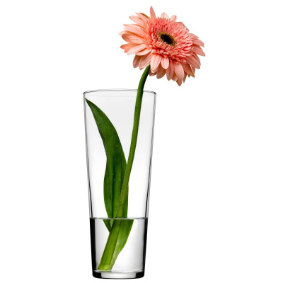 0431520-2-florero-vidrio-26-cm-botanica-pasabahce.jpg