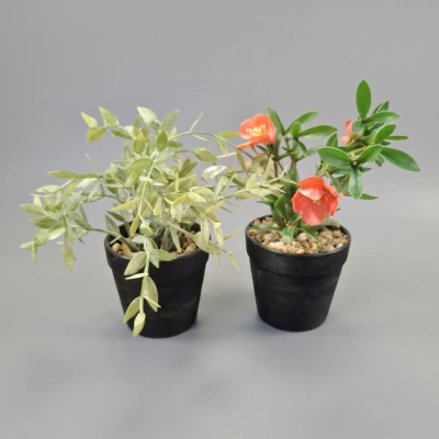 PLANTA-SURTIDA-2.jpg