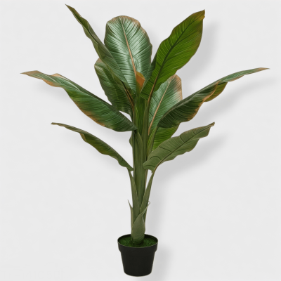 0434329-PLANTA-TF-14105PI.png