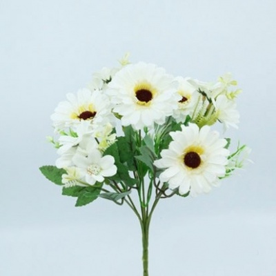 0434398-daisy.jpg