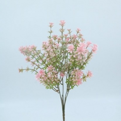 0434403-1-rosa-bush.jpg