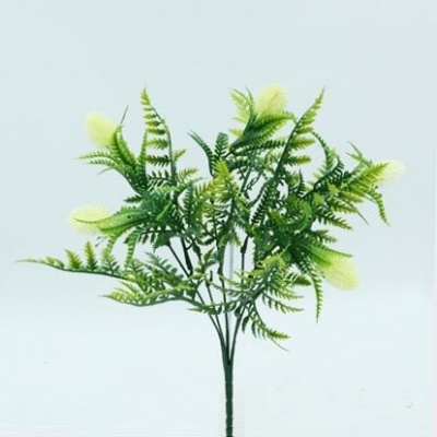 0434404-1-PULSATILLA.jpg