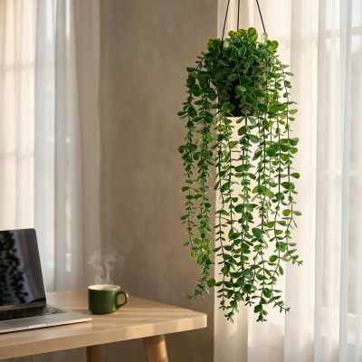 0321366-planta-colgante.jpg