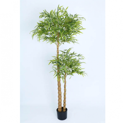 0433483-PLANTA-BAMBOO.png