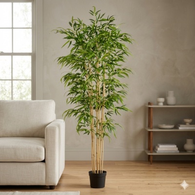 0434904-bamboo.jpg