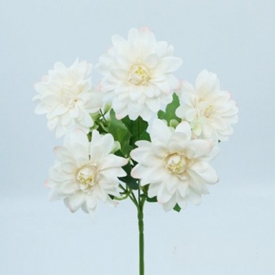 0434908-1-zinnia.jpg