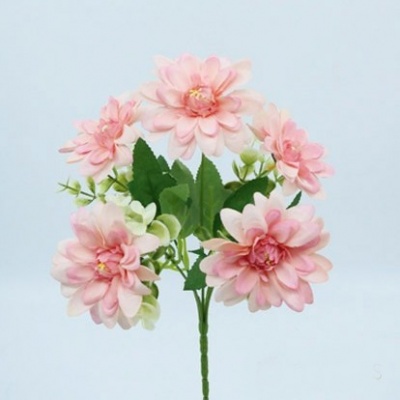 0434908-2-zinnia.jpg