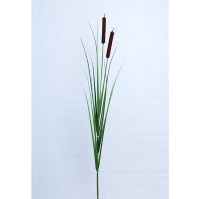 0434910-vara-totora.png