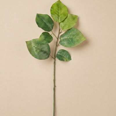 033845-hoja-rosas.jpeg