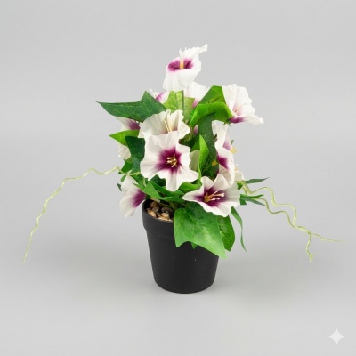 0435334-PLANTA.jpeg
