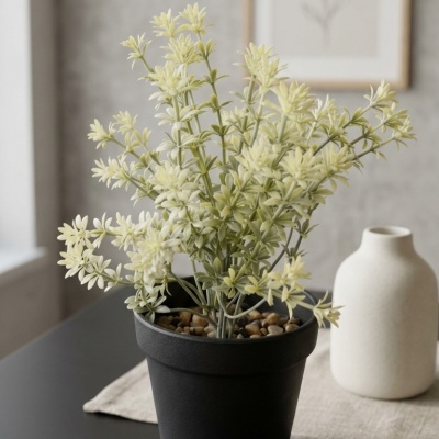 0435364-planta.jpeg