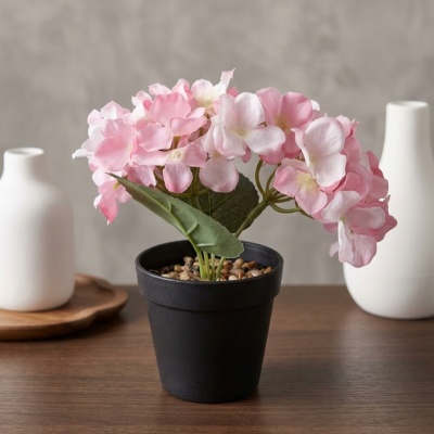 0435365-planta.jpeg