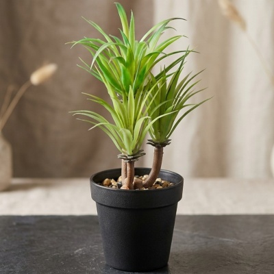 0435368-planta.jpeg