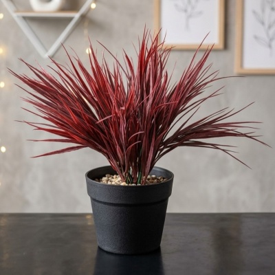 0435370-planta.jpeg